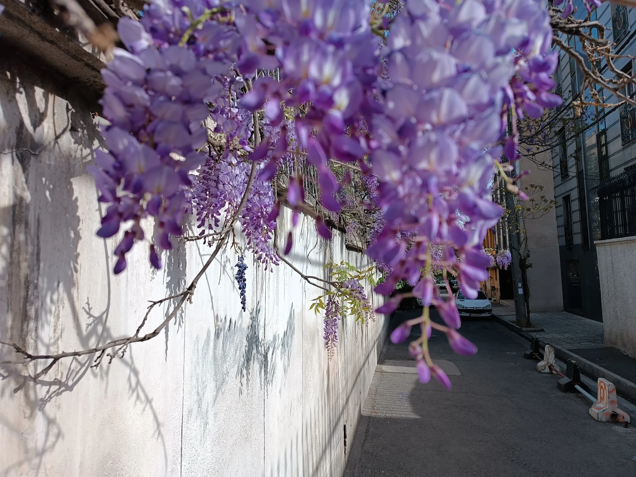 Xiaomi Redmi Note 11 Pro sample1-plnat