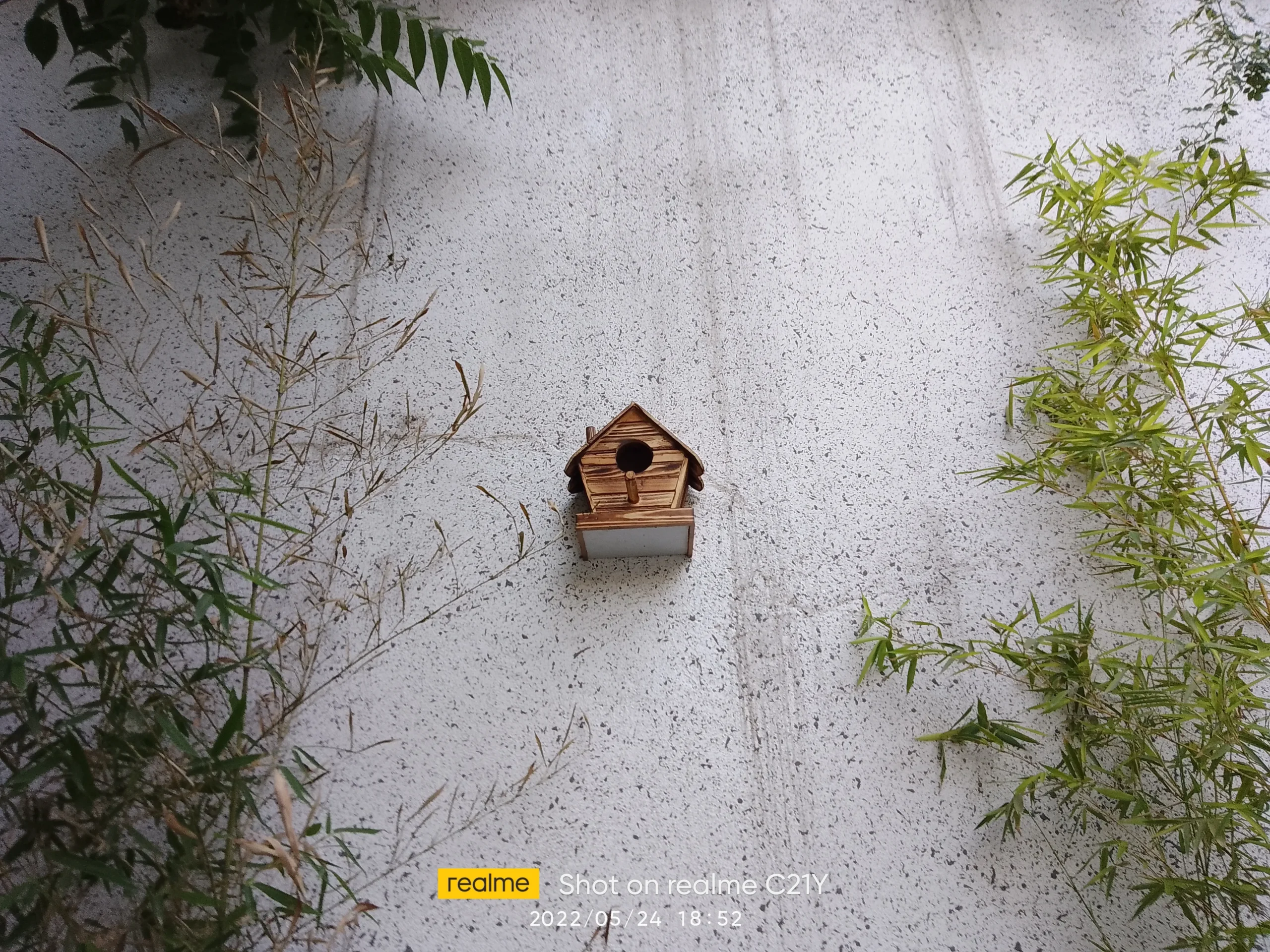 بررسی Realme C21Y Realme C21Y Sample11-bird cage