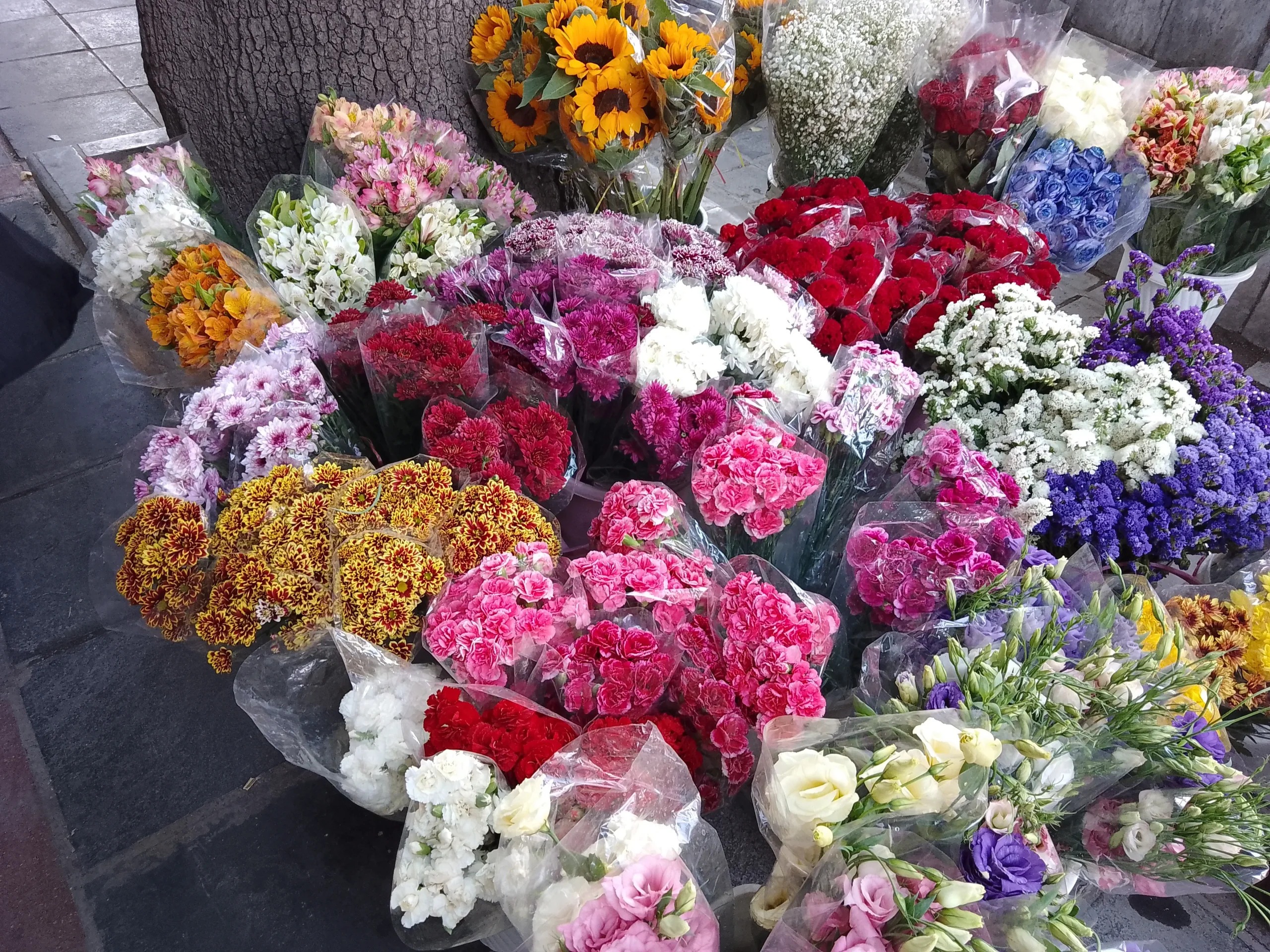 بررسی Realme C21Y Realme C21Y Sample12-flowers