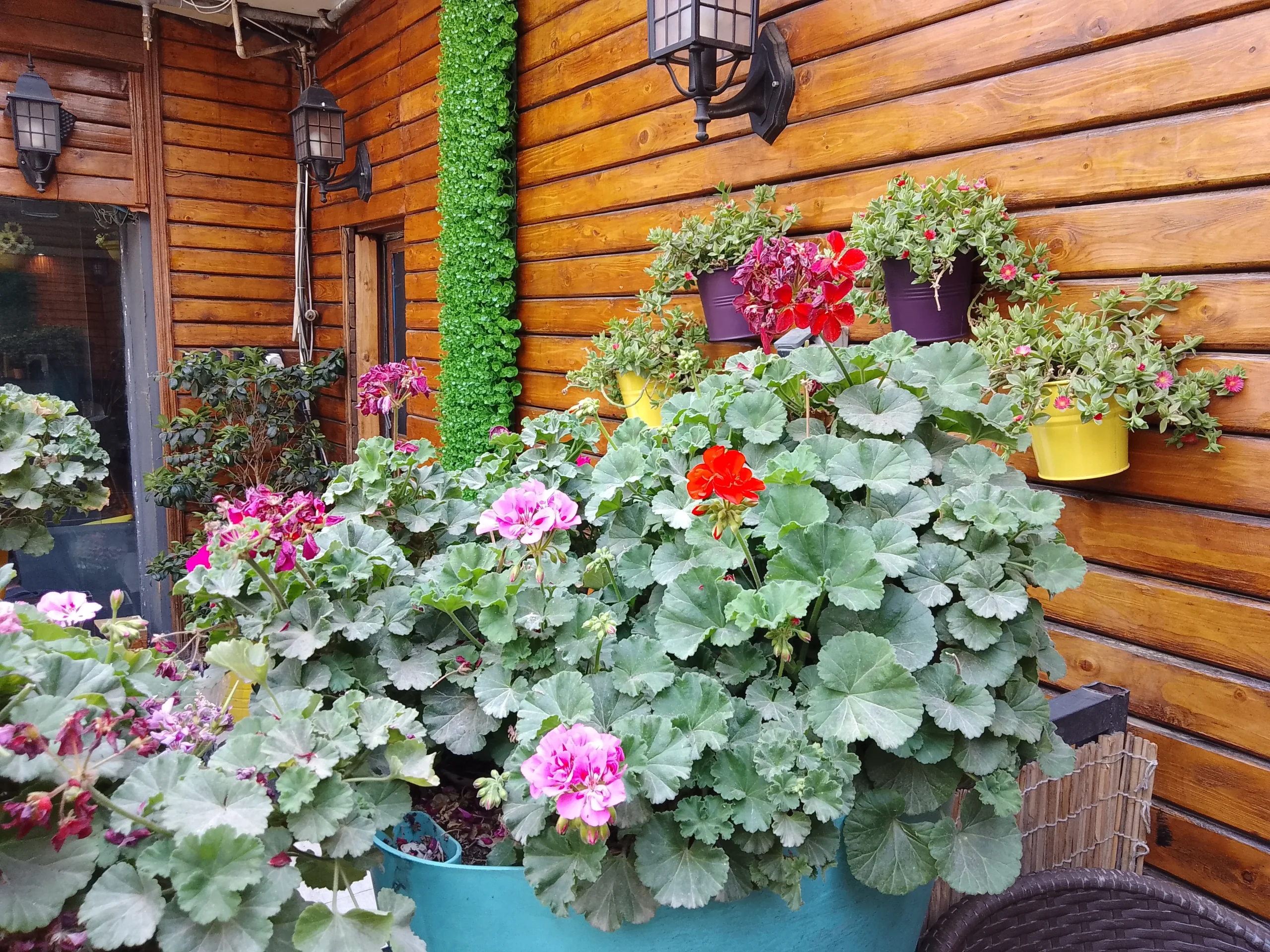 بررسی Realme C21Y Realme C21Y Sample6-flowers