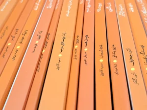 Samsung Galaxy A53 sample 12-book orange