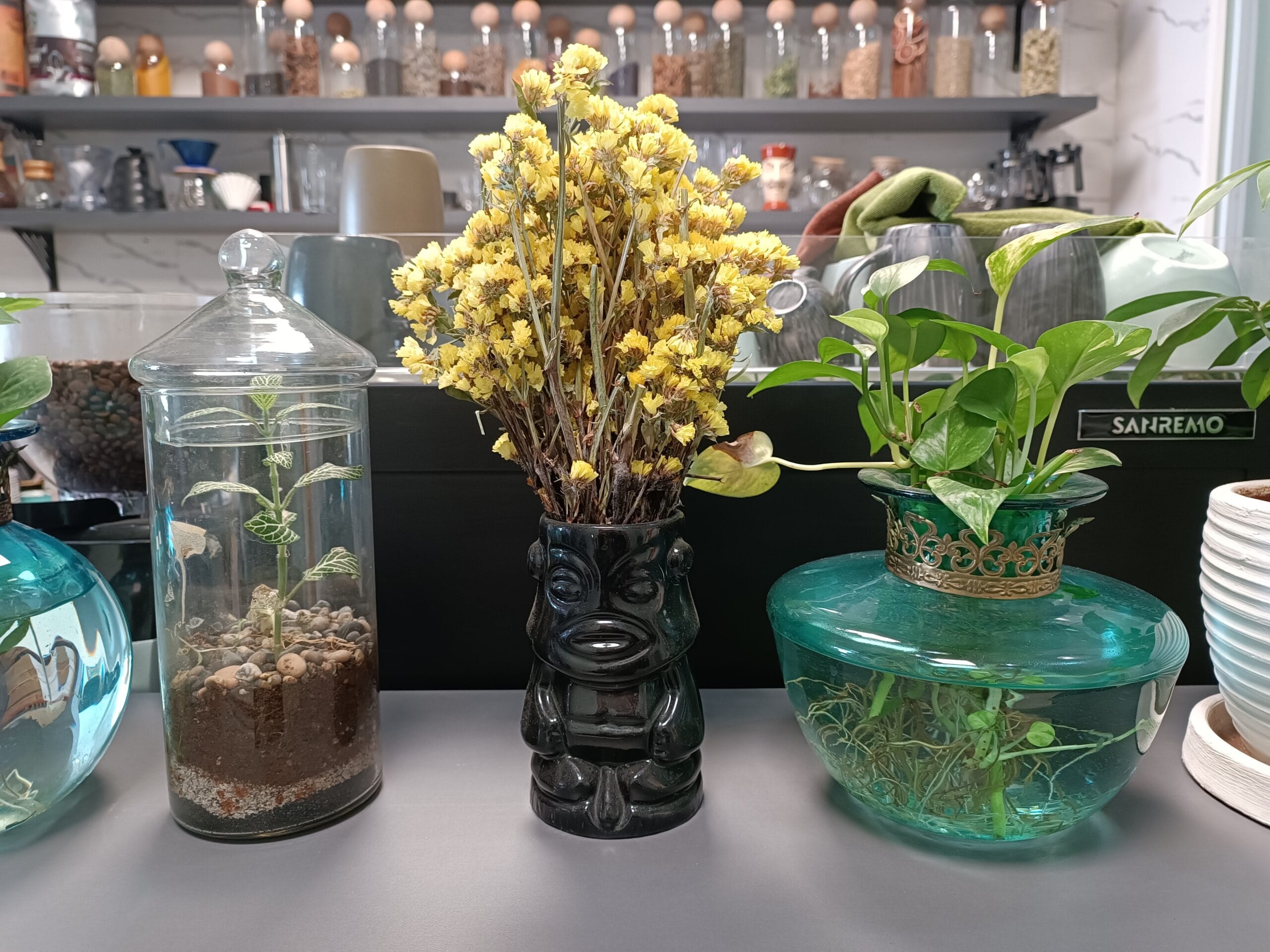 بررسی شیائومی ردمی نوت 11 پرو+ 5G redmi note 11 pro+ sample11-flower