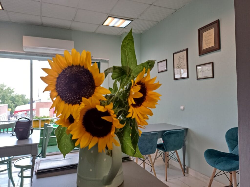 بررسی شیائومی ردمی نوت 11 پرو+ 5G redmi note 11 pro+ sample12-sunflower