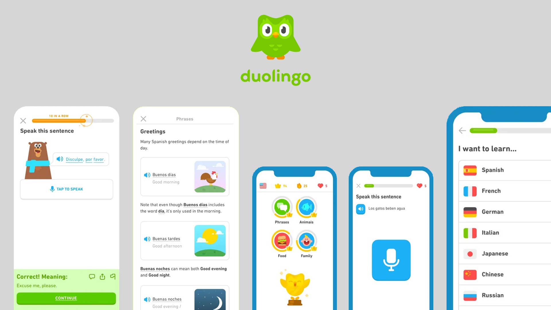 اپلیکیشن یادگیری زبان Duolingo