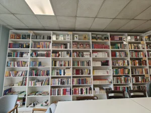 OnePlus 11 Sample9-bookshelf