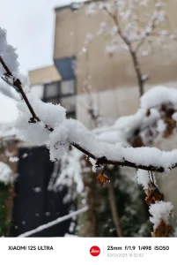 Xiaomi 12S Ultra Sample1-snow on branch