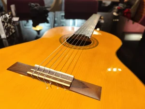 Xiaomi 12S Ultra Sample15-guitar