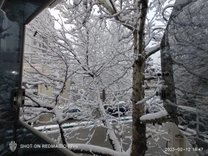 ZTE nubia Red Magic 8 Pro Sample15-snow on branches