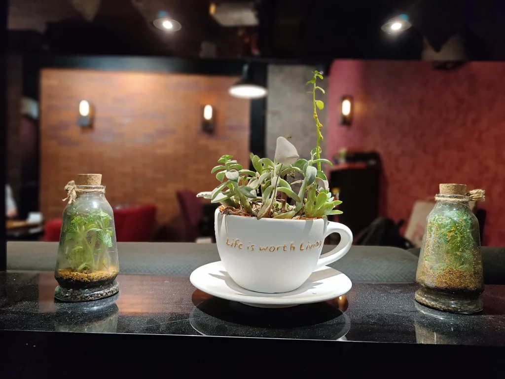ZTE nubia Red Magic 8 Pro Sample19-plants