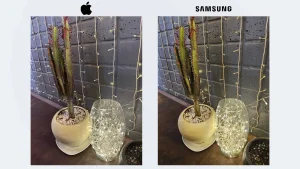 iPhone 14 Pro Max vs Samsung Galaxy S23 Ultra Sample4-plant