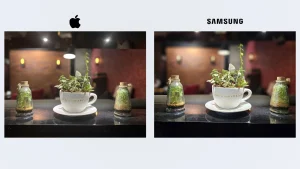 iPhone 14 Pro Max vs Samsung Galaxy S23 Ultra Sample5-plant