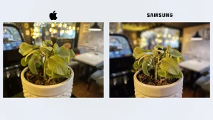 iPhone 14 Pro Max vs Samsung Galaxy S23 Ultra Sample7-plant