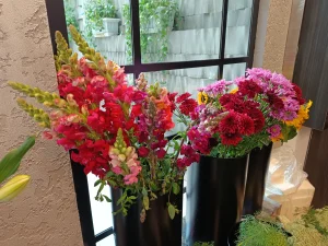 Xiaomi Redmi Note 12 Pro Sample16-flowers