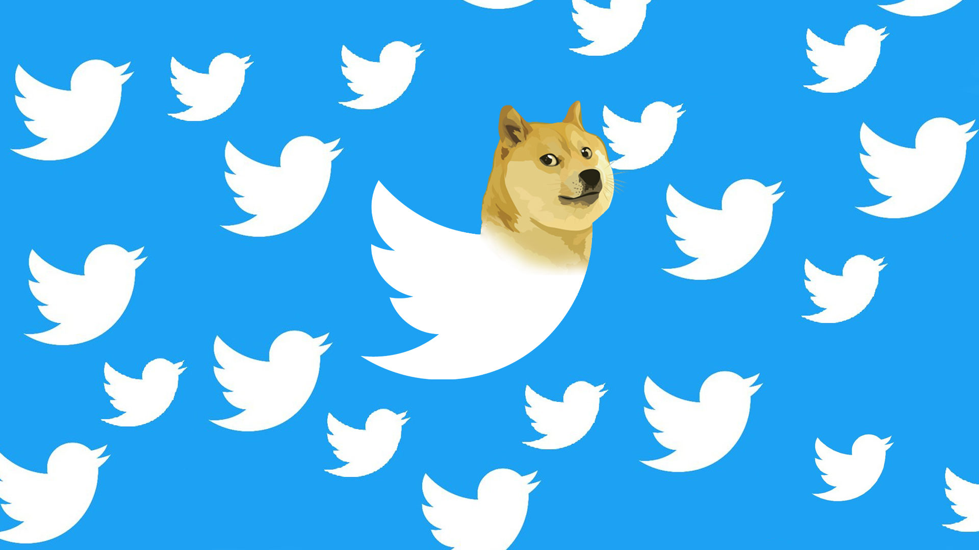 لوگو doge در توییتر