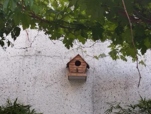 Xiaomi Redmi Note 12 Sample11-bird cage zoomed