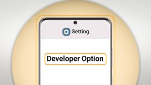 developer option چیست و چگونه فعال می‌شود؟