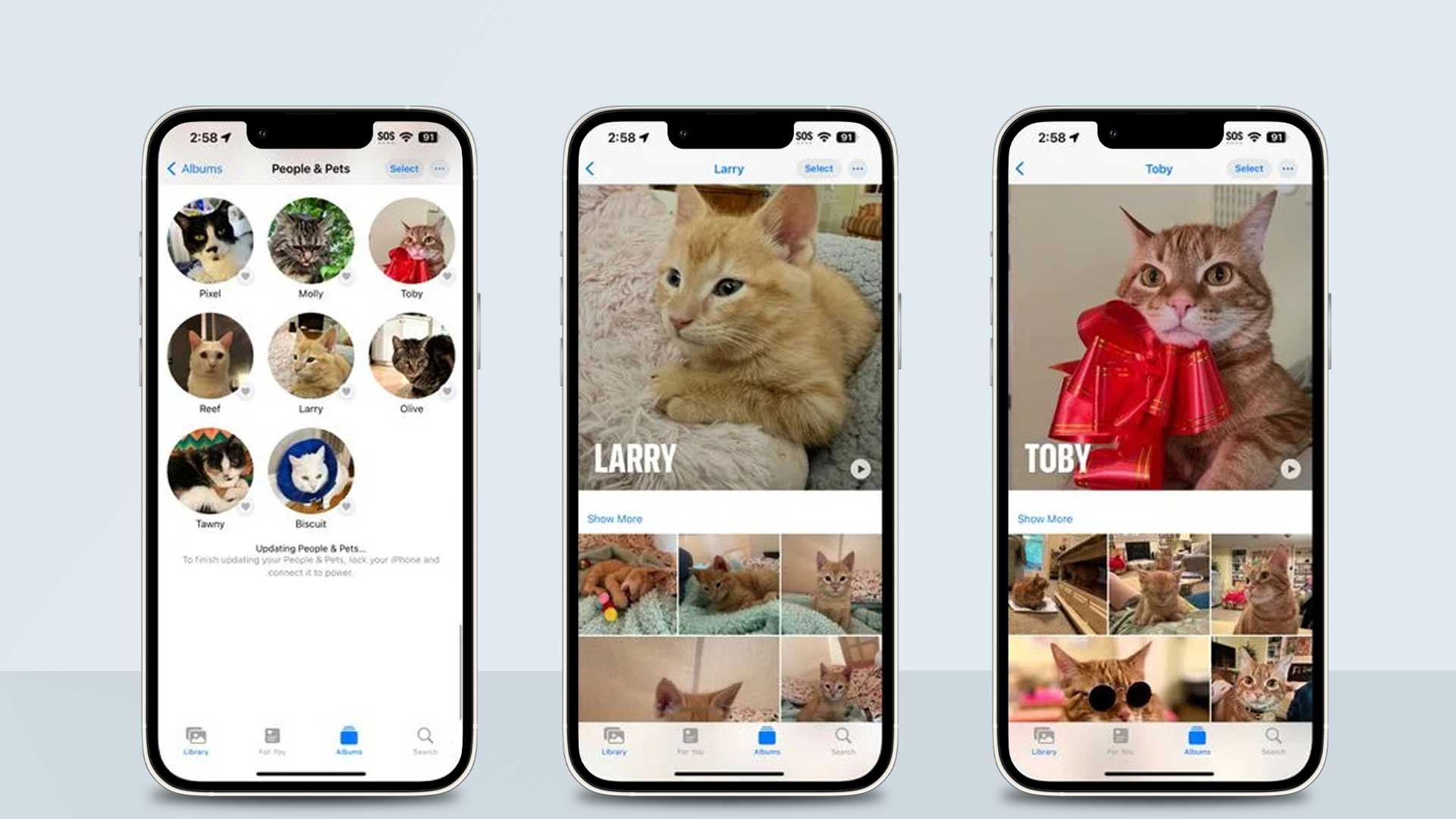 برنامه Photos حیوانات خانگی شما را در iOS 17 شناسایی می کند
