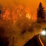 جلوگیری از آتش‌سوزی در کالیفرنیا با هوش مصنوعی