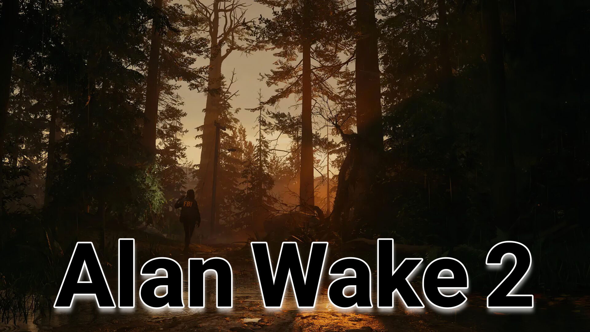 Alan-Wake-2 قیمت