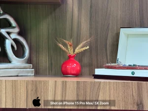iPhone 15 Pro Max Sample18-decor 5x zoom