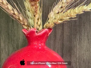 iPhone 15 Pro Max Sample20-decor 25x zoom