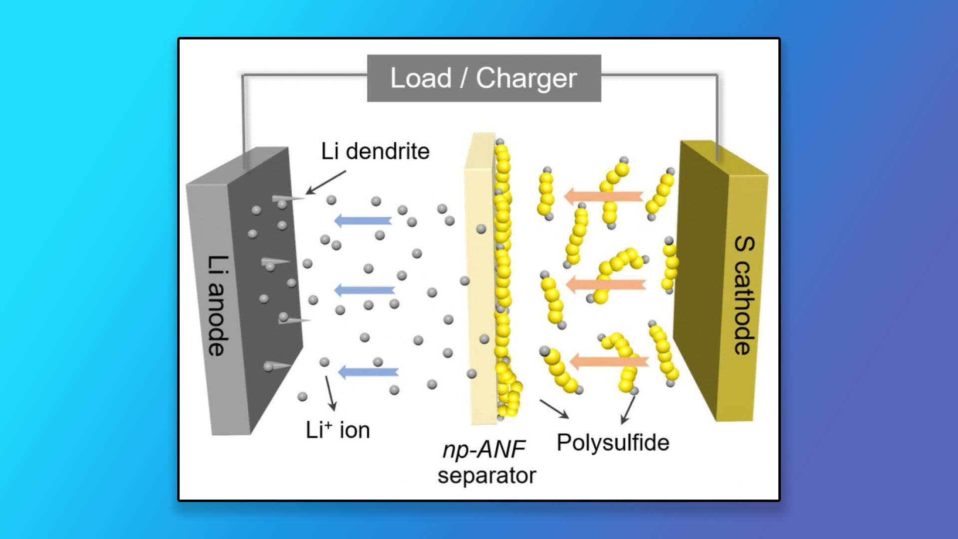 lithium-sulfur battery