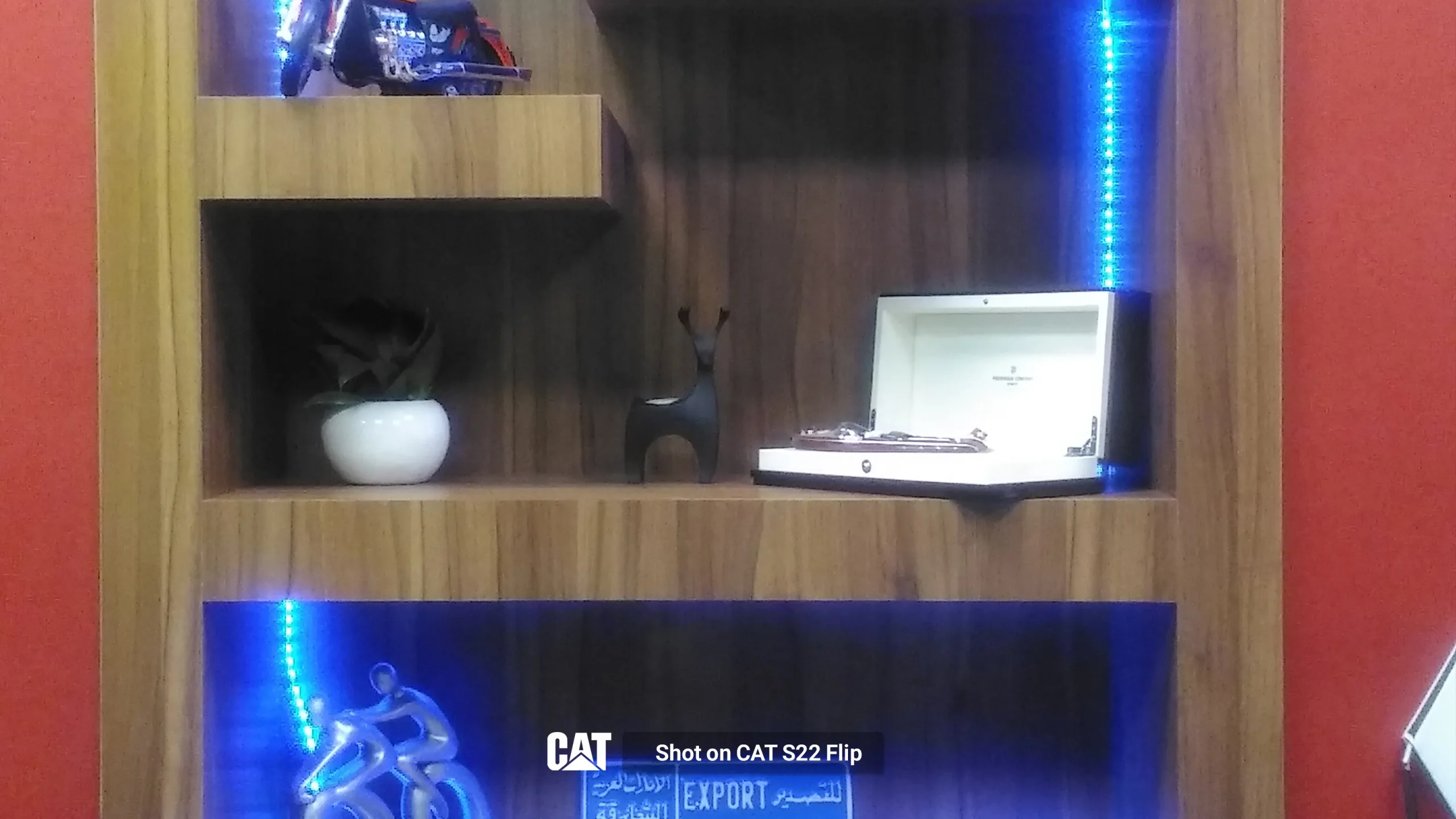 Shot-on-CAT-S22-Flip-zoom