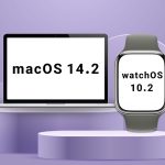 اپل watchOS 10.2 و macOS 14.2 را عرضه کرد؛ رفع باگ‌ها با قابلیت‌های متعدد