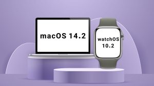 اپل watchOS 10.2 و macOS 14.2 را عرضه کرد؛ رفع باگ‌ها با قابلیت‌های متعدد