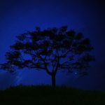 ۵ راهکار برای عکاسی در شب