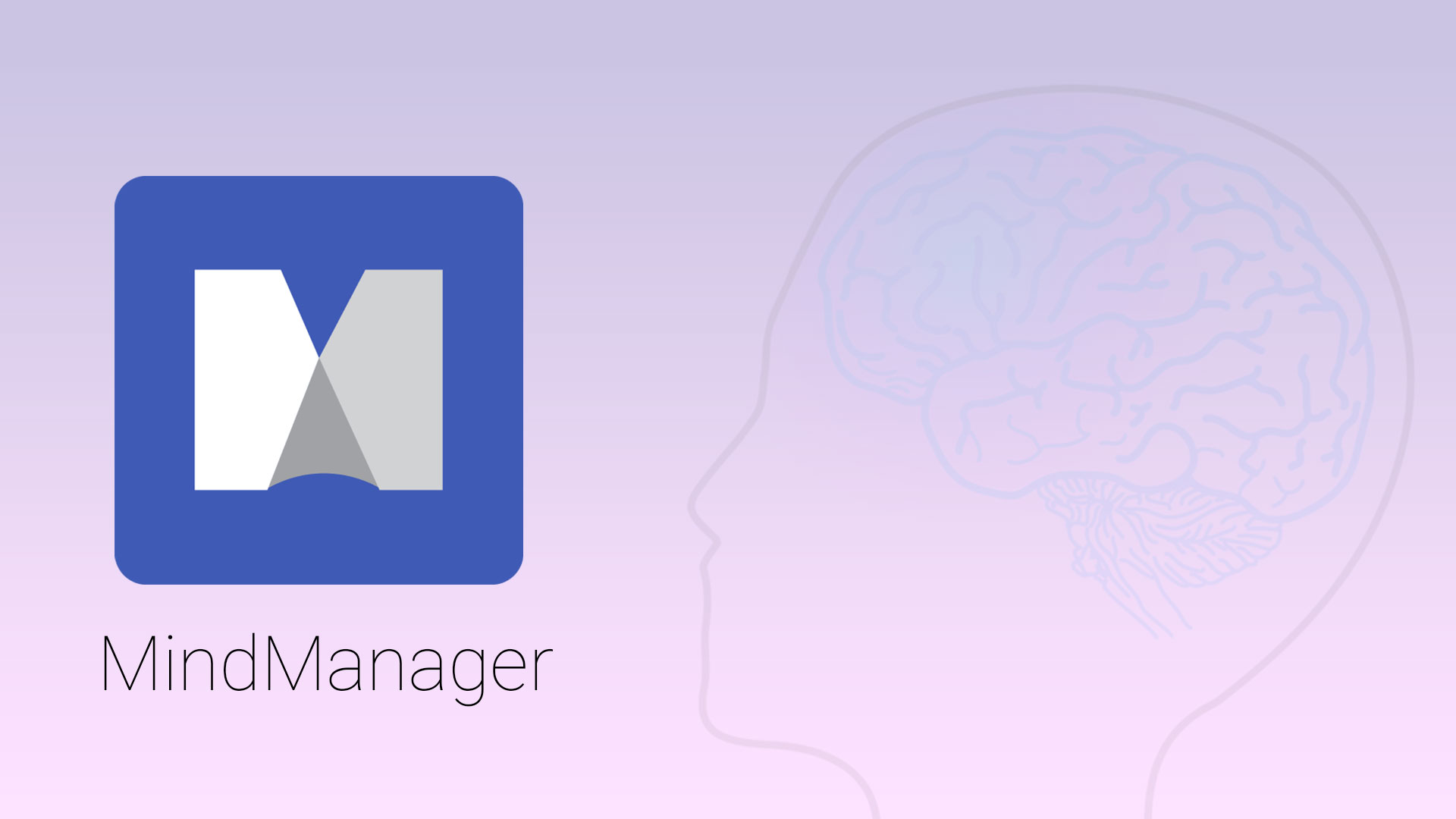 MindManager