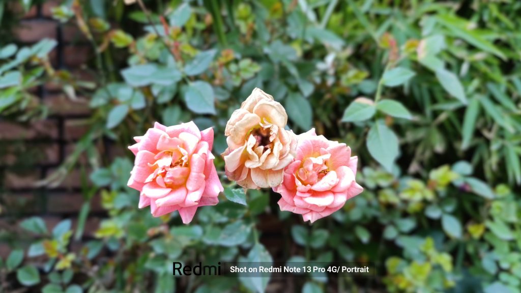بررسی ردمی نوت ۱۳ پرو 4G؛ کیفیت فدای قیمت ارزان Shot-on-Redmi-Note-13-Pro-4GPortrait