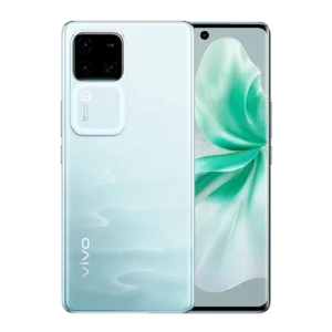 vivo V30