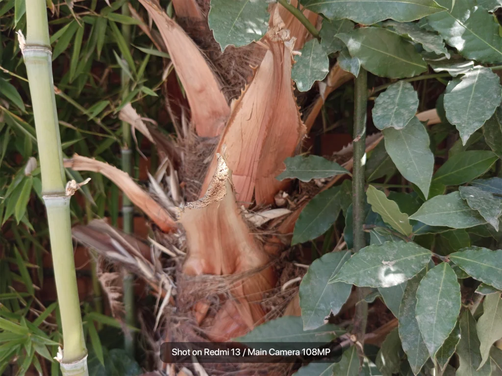 بررسی شیائومی ردمی 13؛ اقتصادی، اما نه بینقص کیفیت دوربین اصلی 108 مگاپیکسلی گوشی Redmi 13