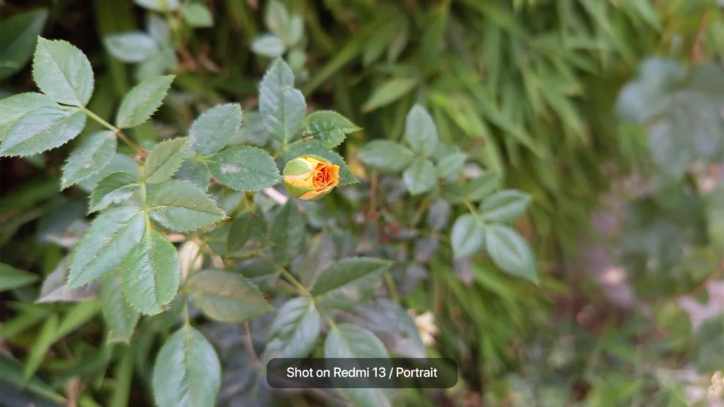 بررسی شیائومی ردمی 13؛ اقتصادی، اما نه بینقص کیفیت عکس پرتره گوشیRedmi 13