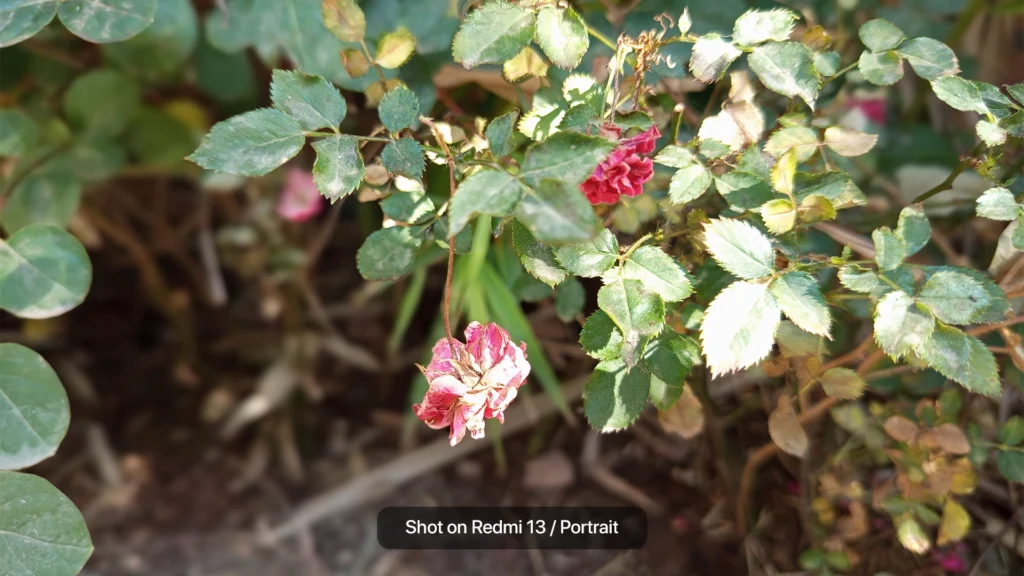 بررسی شیائومی ردمی 13؛ اقتصادی، اما نه بینقص کیفیت عکس پرتره گوشیRedmi 13