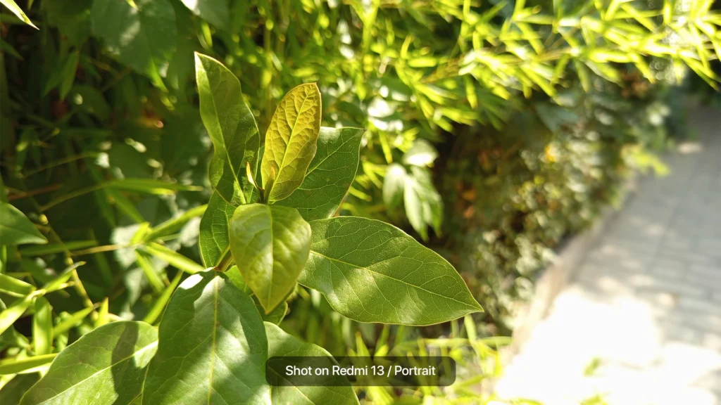 بررسی شیائومی ردمی 13؛ اقتصادی، اما نه بینقص کیفیت عکس پرتره گوشیRedmi 13