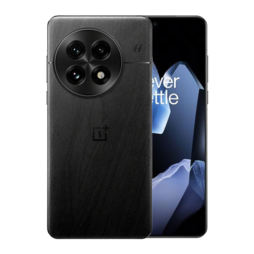 OnePlus 13