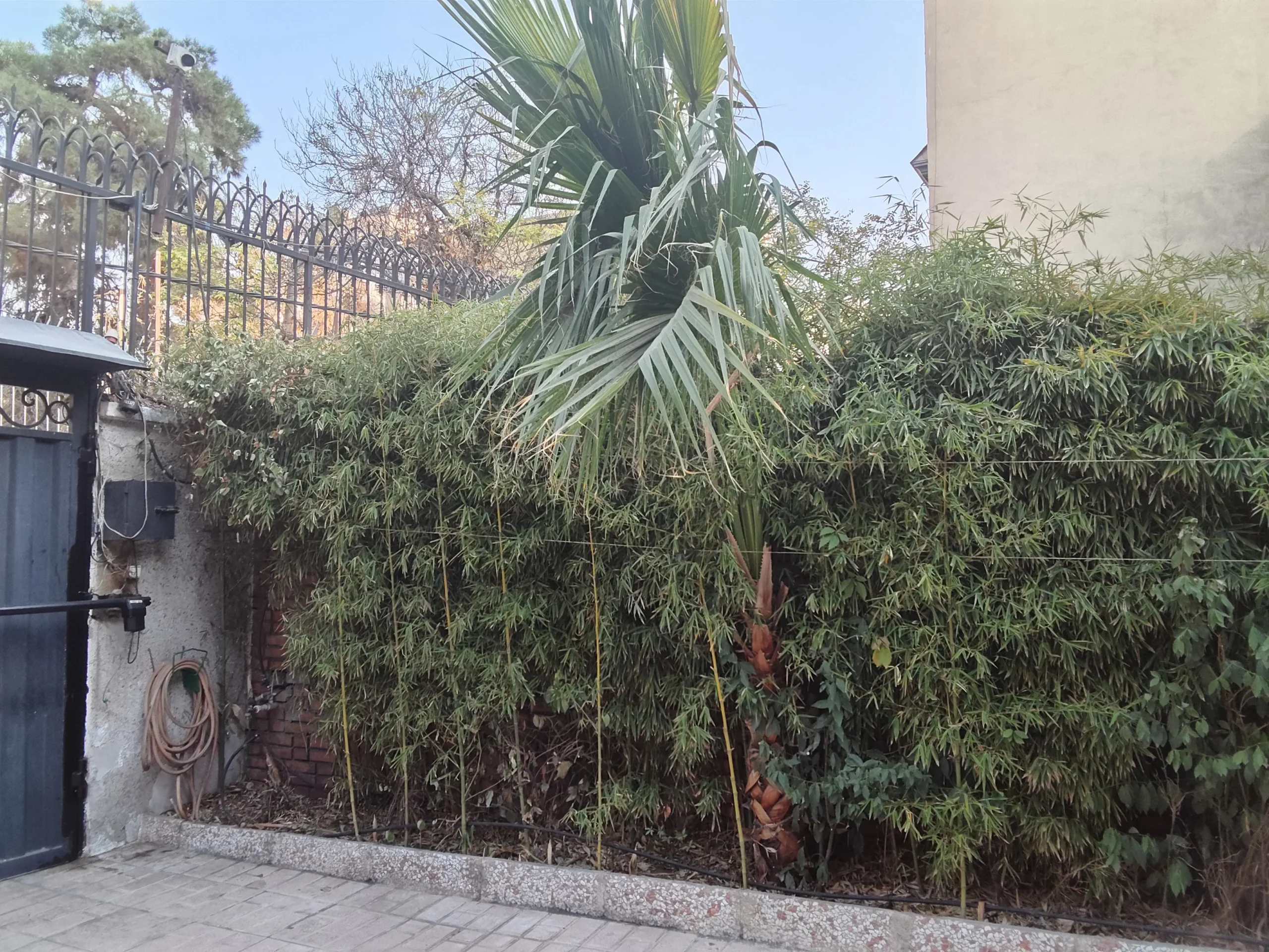 عکس گرفته شده با دوربین اصلی ردمی پد پرو۲ در روز