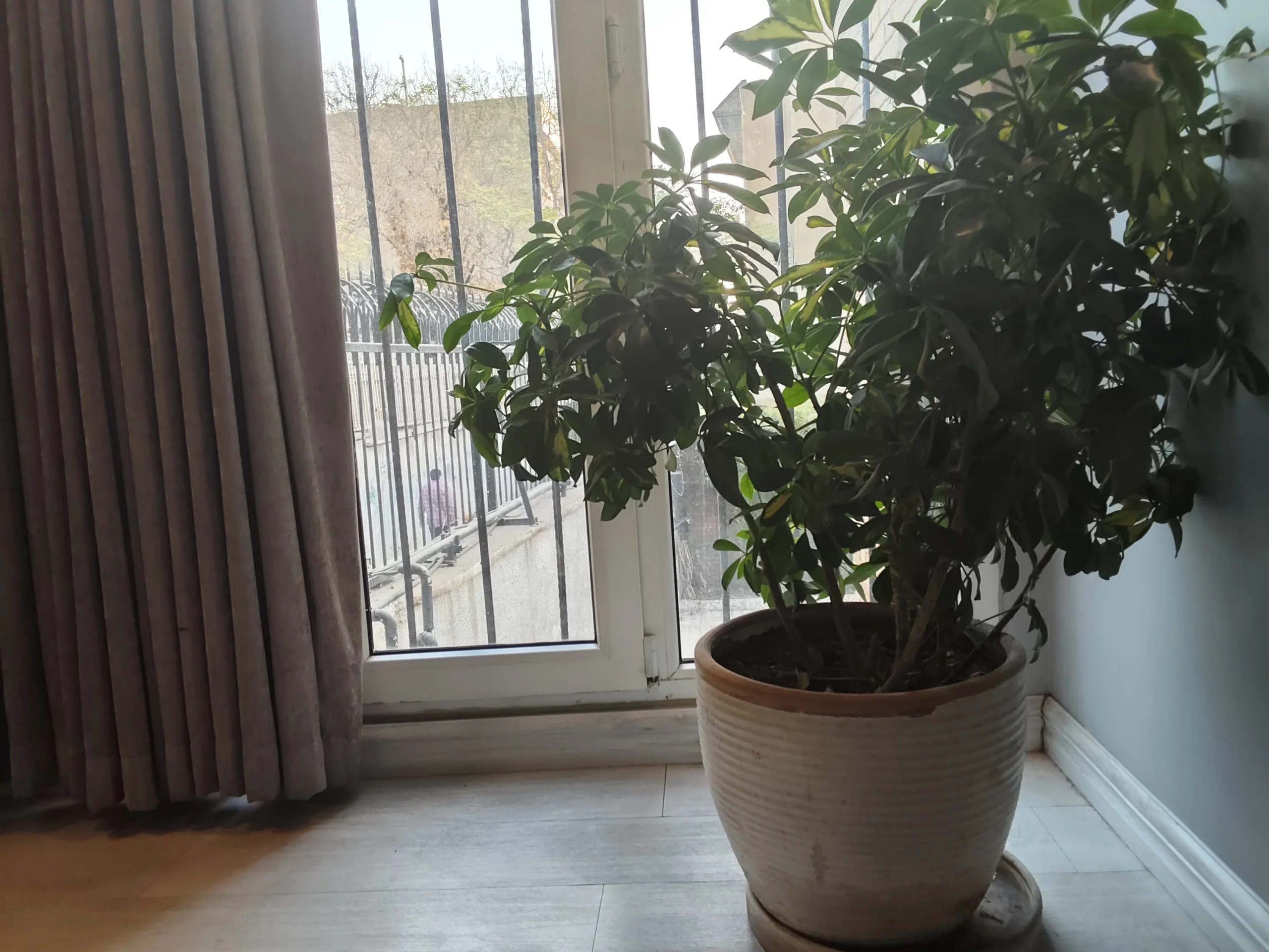 عکس گرفته شده با دوربین اصلی ردمی پد پرو۲ ترکیب رنگ و نور داخل و بیرون