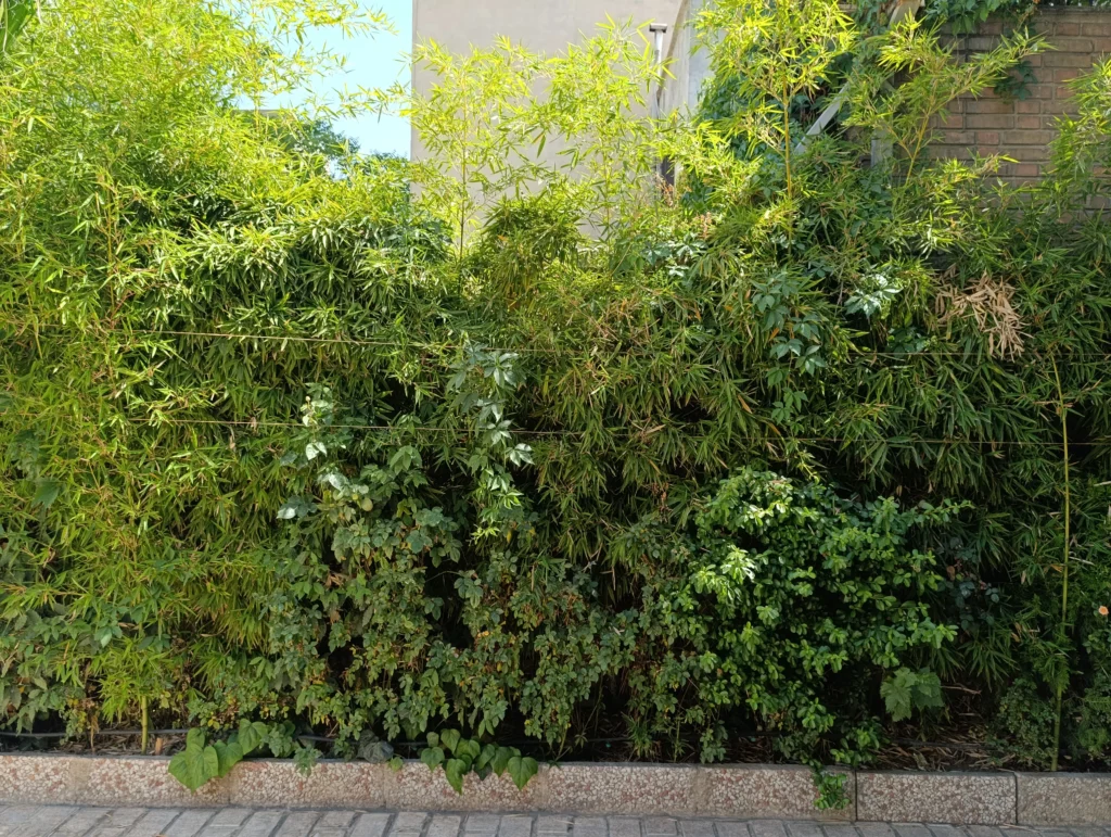 بررسی ردمی نوت 14S؛ درجا زدن بهسبک شیائومی نمونه عکس دوربین اصلی ردمی نوت 14Sدر نور روز زوم 2X